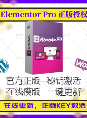 Elementor Pro正版汉化 Elementor 高级版 官方正版授权 正版激活