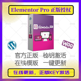Elementor Pro正版汉化 Elementor 高级版 官方正版授权 正版激活