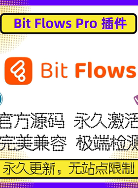 Bit Flows Pro 插件 高级版 WP工作流插件 WP自动化插件 官方原版