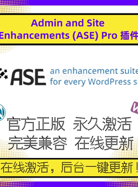 Admin and Site Enhancements 高级版 ASE Pro 插件 WP站点管理