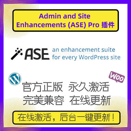 Admin and Site Enhancements 高级版 ASE Pro 插件 WP站点管理