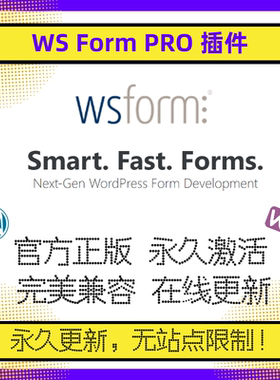 WS Form Pro 插件 WP表单插件 WP响应式表单 交互式表单插件 官方