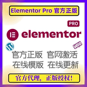 PRO插件 主题编辑器 官方正版 Elementor WP编辑器 拖放式 高级版