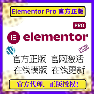 拖放式 主题编辑器 官方正版 WP编辑器 PRO插件 高级版 Elementor