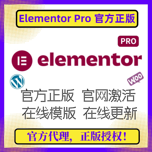 Elementor PRO插件 官方正版 WP编辑器 拖放式主题编辑器 高级版