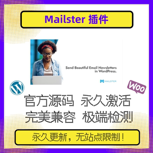 Mailster插件 WP邮件营销插件 WP订阅插件 订阅回复 官方版 兼容