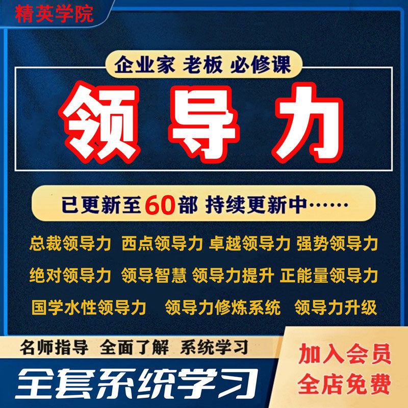 领导力课程企业管理培训全项修炼 中高层经理干部视频教程 大合集