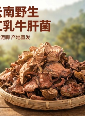 野生牛肝菌干货口感非常滑嫩的红乳牛肝菌云南特产野生菌100克装