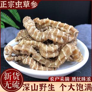 正品云南野生虫草参地参新货中药材500g竹节参泽兰根地蚕子煲汤料