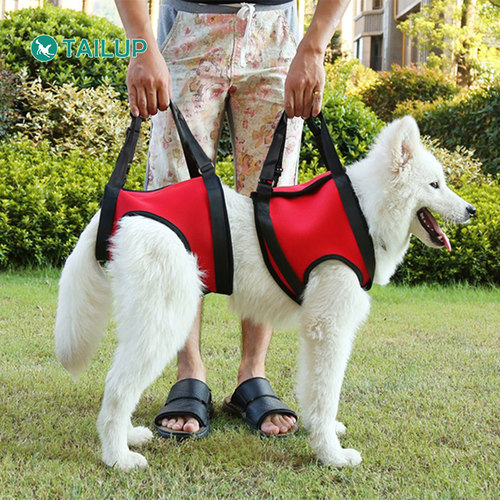 TAILUP翘尾巴中小型犬辅助带老年残疾受伤狗狗导盲犬康复牵引背带