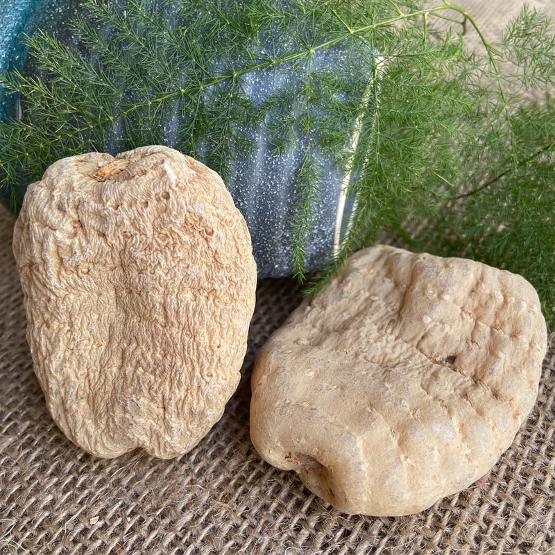 蒙鸽麻丽送礼选云南昭通小草坝特级干天麻12个1KG可磨天麻粉干货,传统滋补营养品,天麻,淘宝优惠券,粉丝福利购,淘宝优惠卷