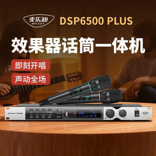 麦乐迪DSP6500PLUS专业