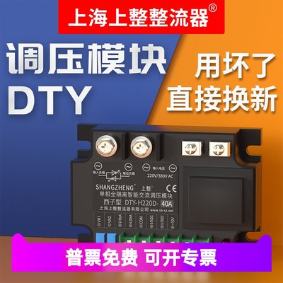 DTY可控硅单相交流调压模块电力调整器5V/10V/4-20MA/固态调压器