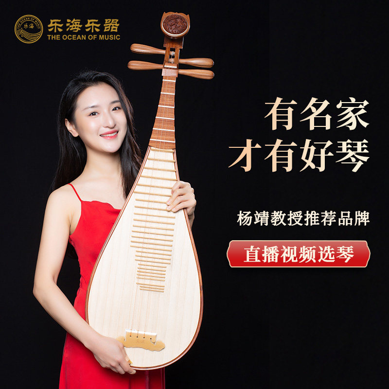 乐海 琵琶乐器演奏级特级奥氏黄檀木材质祥云头饰原木抛光DJ14-AA
