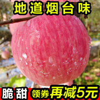 煙臺(tái)蘋果水果新鮮整箱正帶應(yīng)當(dāng)季