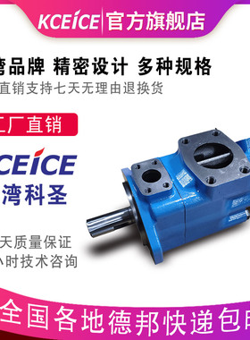 2520V-14A11/17A11/19A11/21A11-1CC/86AABBDD-22R-22L/A8 叶片泵