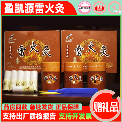 盈凯源雷火灸B002家用艾灸装置中药艾柱控温调节灸筒送艾灸绑带