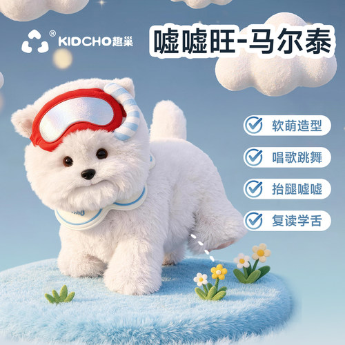会嘘嘘会说话的马尔泰小狗