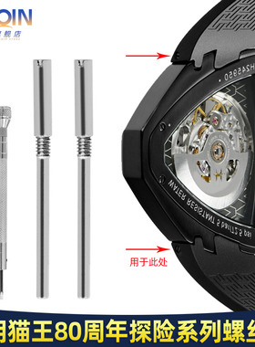泰琴适用汉密尔顿纪念款猫王80周年探险系列手表连接杆表带螺丝杆