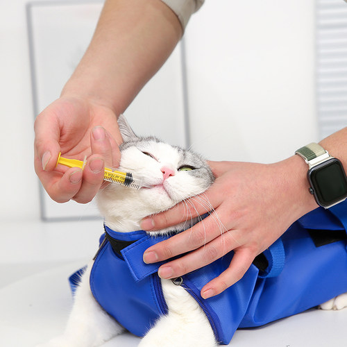 猫咪剪指甲保定包固定宠物包外出便携猫用打针防抓防咬束缚洗猫袋