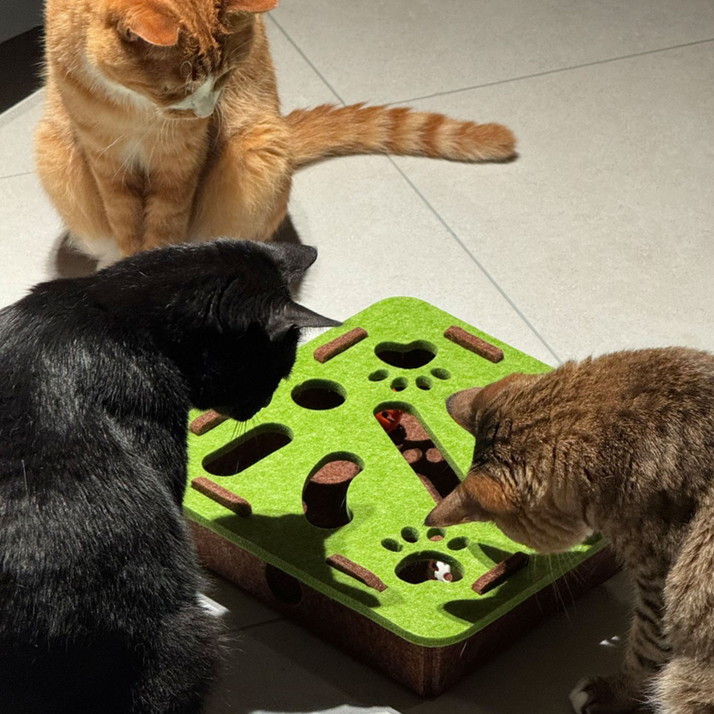 猫玩具自嗨解闷神器逗猫猫咪益智迷宫掏洞毛毡盒子铃铛球宠物用品