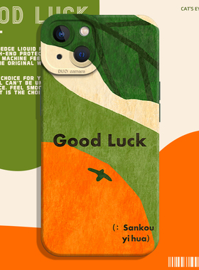 大吉大利适用iphone17promax手机壳16好运ip15苹果14plus独特13mini好看12秋冬11高级感x艺术xr小众x女款sair