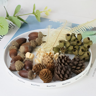 香薰干花永生花僵尸果芒萁叶橡果松果森林系装 饰摆件蜡烛材料