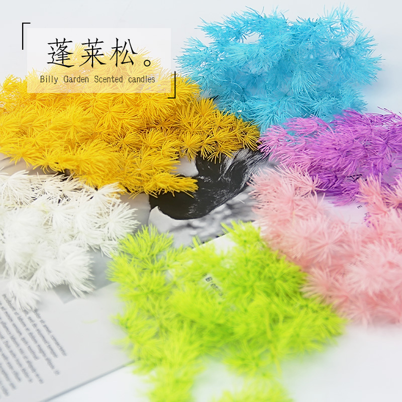 蓬莱松浮游花永生花干花材