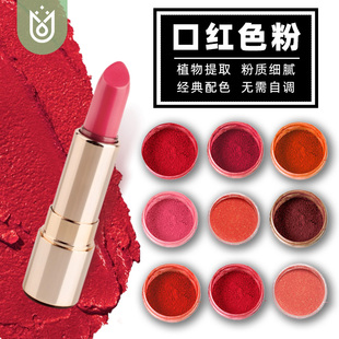 口红色粉植物颜色唇膏彩釉着色diy自制作手工沙龙团建活动原材料