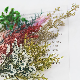 彩色情人草水晶草干花束真花配花手工diy名信片材料包伴手礼装饰