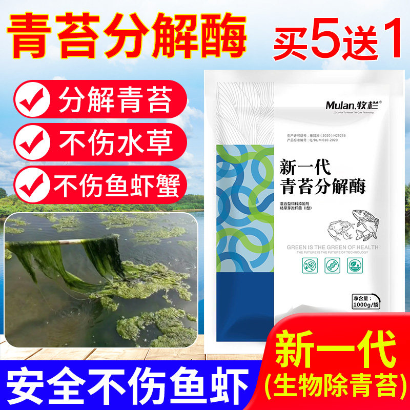 青苔分解酶水产养殖专用青苔净除青苔鱼池鱼塘小龙虾池塘除青苔药