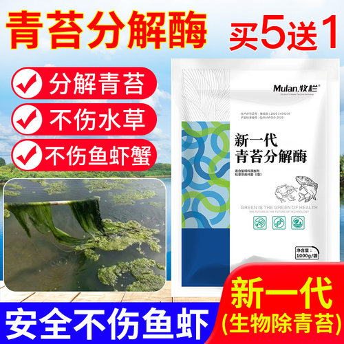 青苔分解水产养殖专用克星