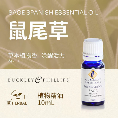 澳洲BP精油西班牙鼠尾草精油10mL