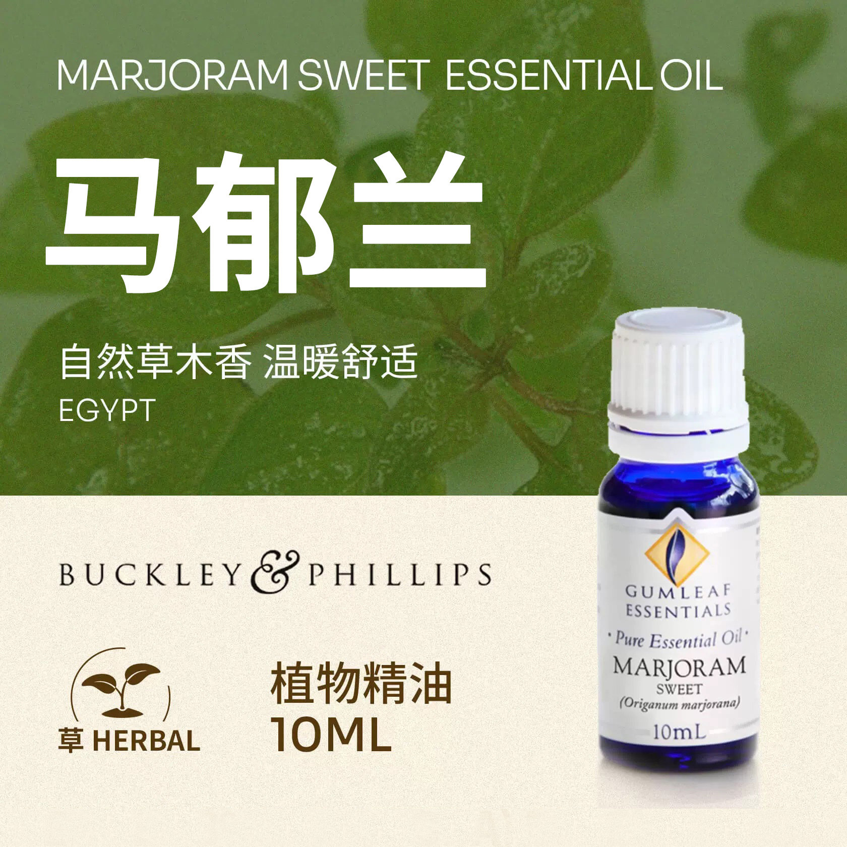 澳洲BP精油甜马郁兰单方精油10mL埃及产舒缓放松巴克菲利