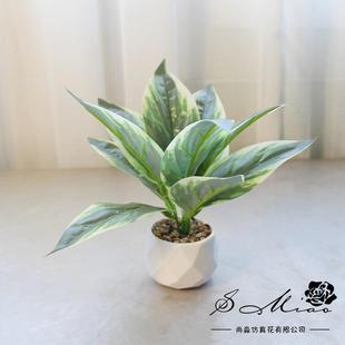 假花子盆景真盆栽仿家居装 新款 叶饰真人造绿植盆景婚庆仿花摆