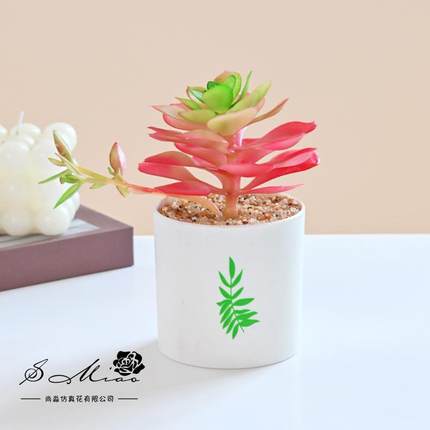 假花多仿真肉景仿真盆栽家居盆饰人造绿植小盆景婚庆仿真装花