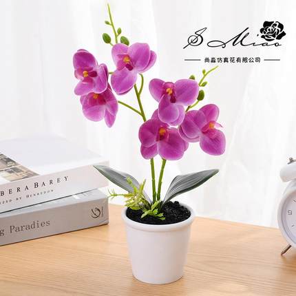 假花打印胶片六花蝴蝶兰盆景仿真花创意小摆件植物仿真盆栽绿植