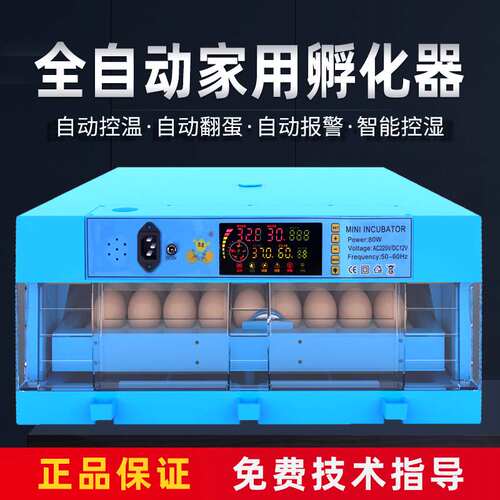 鸭苗孵化机价格 鸭苗孵化机图片 星期三