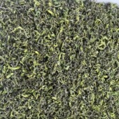 2026新茶春茶手工高山白茶炒青栗香小兰花香香浓耐泡