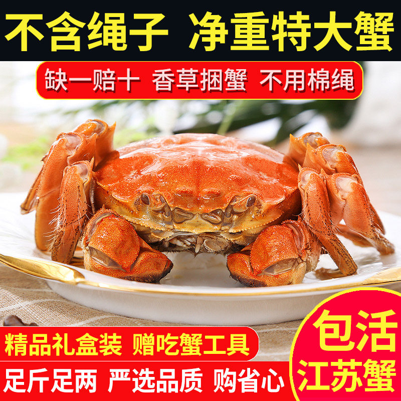 【活蟹】大闸蟹鲜活螃蟹现货特大溱湖簖蟹足斤足两中秋送礼盒装