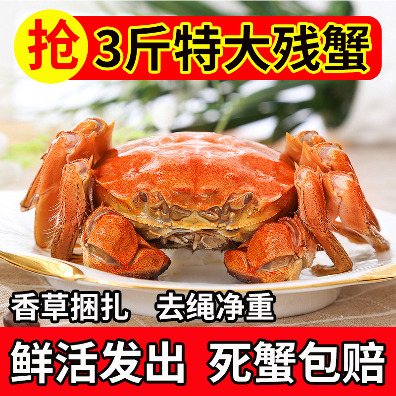 特大残蟹香草捆蟹净重不含绳