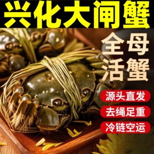 活蟹兴化大闸蟹螃蟹鲜活全母蟹六月黄螃蟹现货河蟹官方旗舰店礼盒