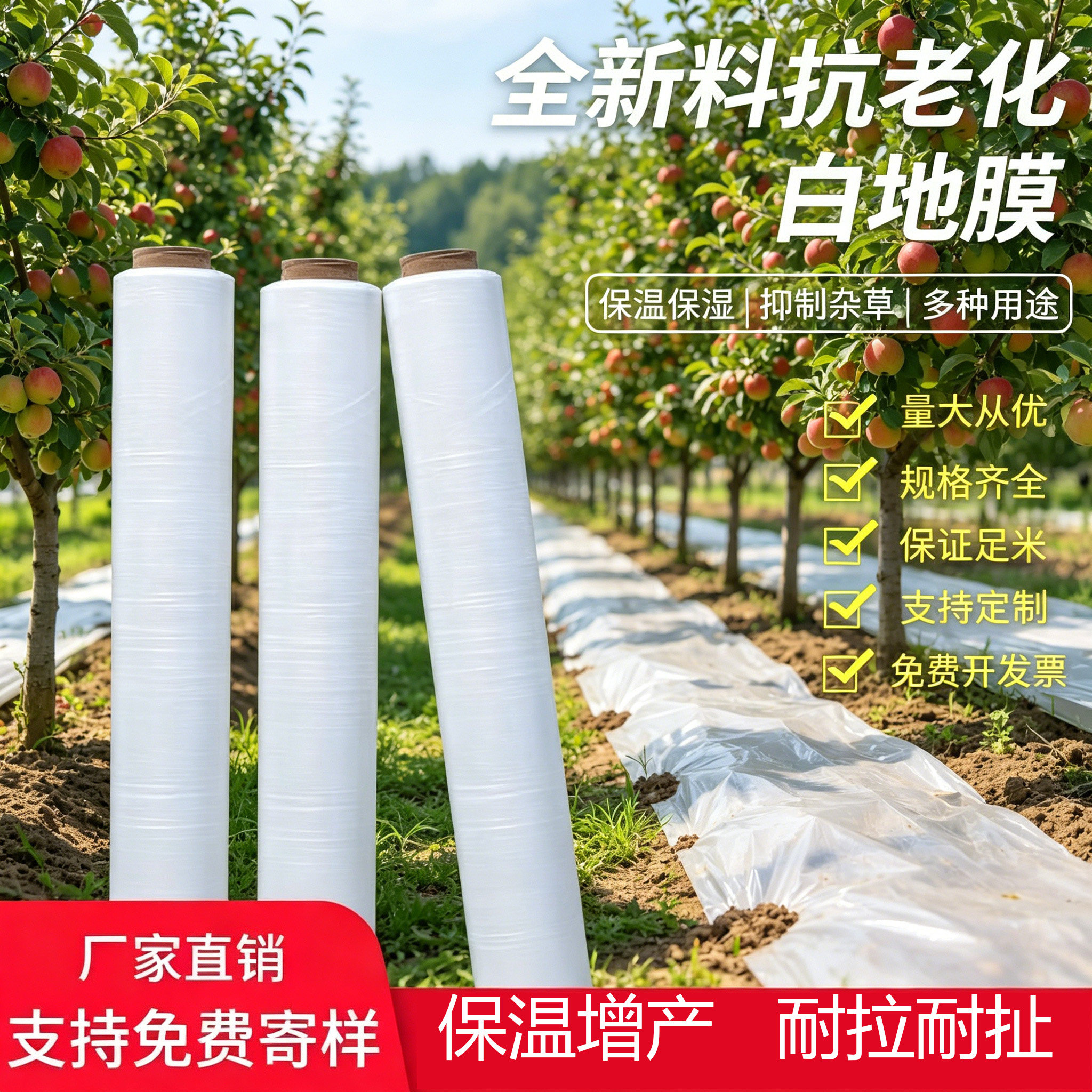 白色地膜农用薄膜塑料薄膜耐拉耐扯保温保湿白色塑料膜果园大棚膜