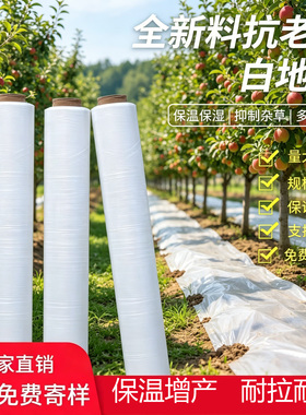 白色地膜农用薄膜塑料薄膜耐拉耐扯保温保湿白色塑料膜果园大棚膜