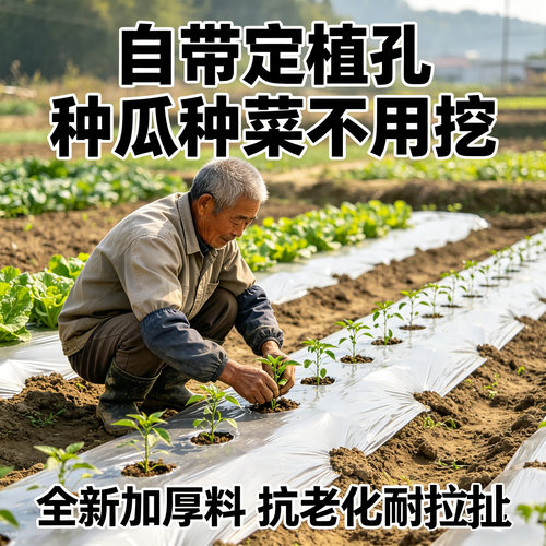 银黑双色地膜抗老化反光驱虫除草