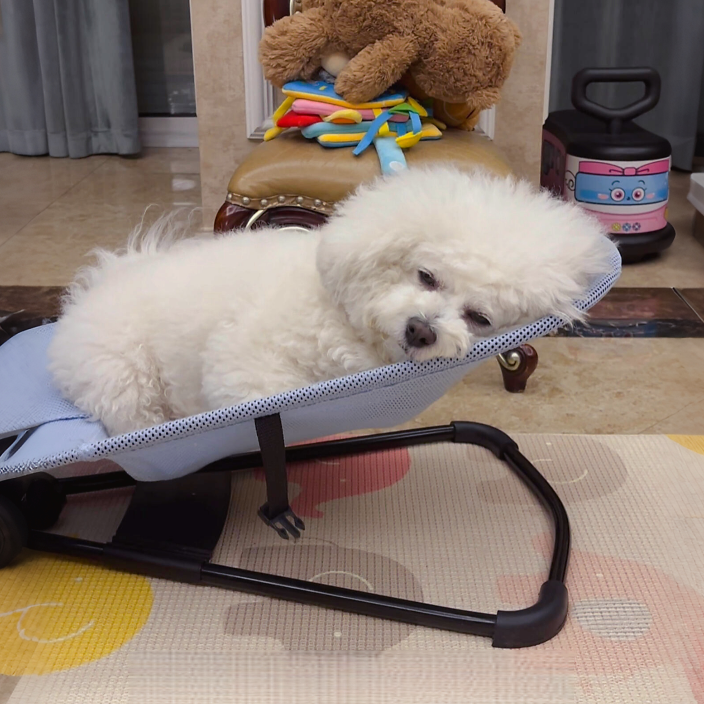 狗狗摇摇椅中小型犬狗床狗窝透气网布猫狗睡床离地防潮四季通用窝