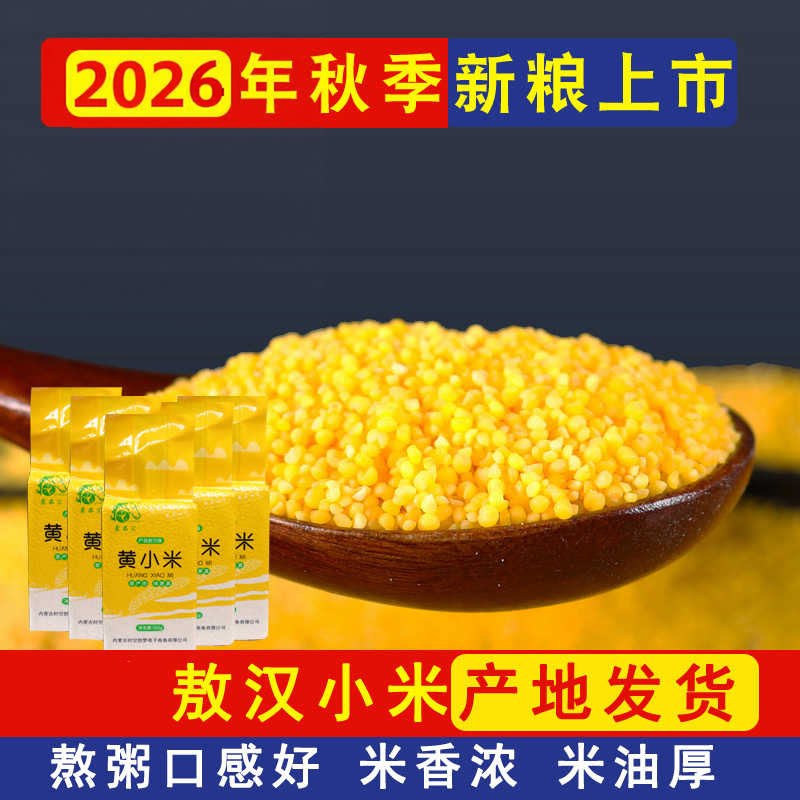 敖汉小米26年新米小黄米500g内蒙古赤峰食用杂粮大金苗k1蒙品汇
