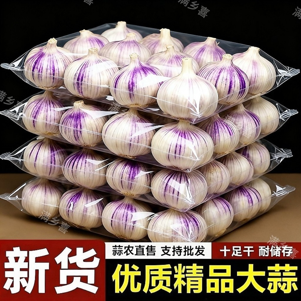 新干蒜白皮大蒜新鲜大蒜头