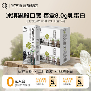 水牛奶200ml 认养吃甘蔗 20盒4.0g蛋白学生儿童早餐奶 新日期