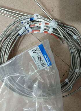 可维修热电偶E52-CA50AY∮3.2  NETU